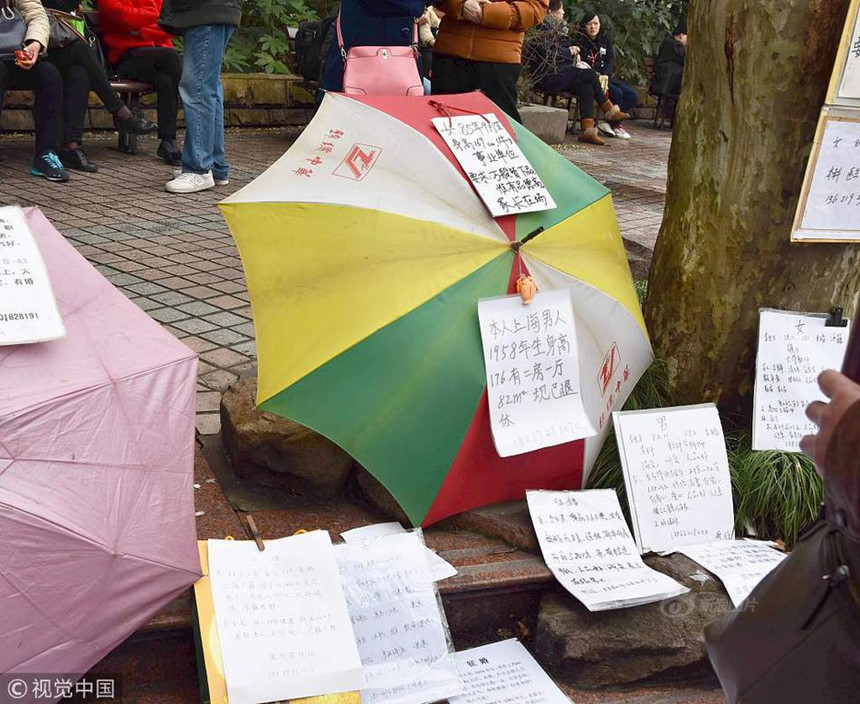 Cha mẹ TQ mang ô đến công viên xem mặt tìm bạn đời cho con